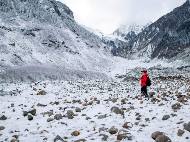 Во льдах Тибета найдены вирусы возрастом более 10 000 лет