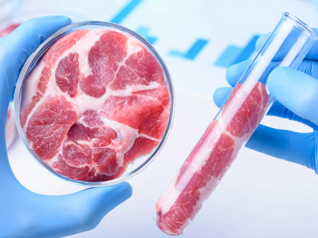 Искусственное мясо может вызывать раковые заболевания
