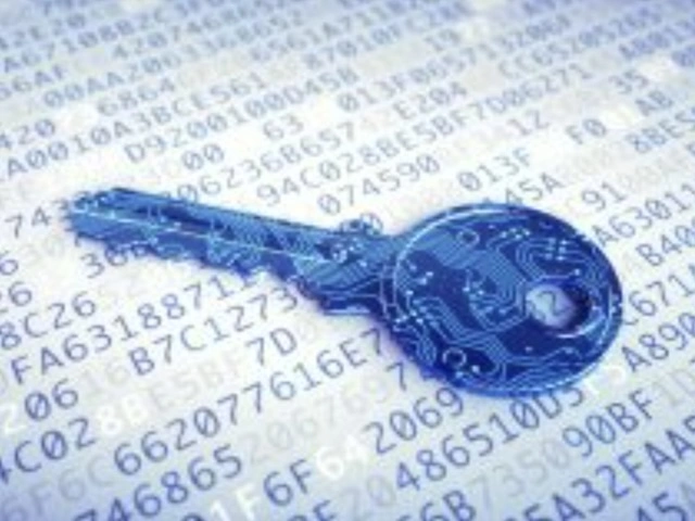 Результаты выборов зашифровали так, что не смогли их расшифровать