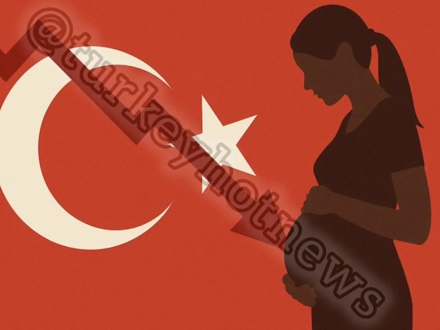 Рождаемость в Турции упала ниже, чем в России