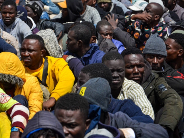 Европа будет вербовать мигрантов как надсмотрщиков над белыми